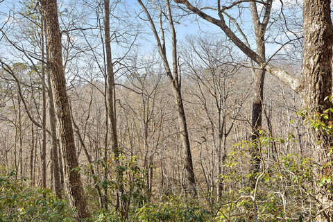 Lot 317 Tree House Tr, Dunlap, TN 37327