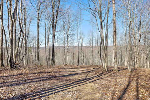 Lot 291 Roaring Creek Rd, Dunlap, TN 37327