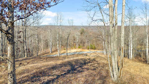 Lot 248 Roaring Creek Rd, Dunlap, TN 37327