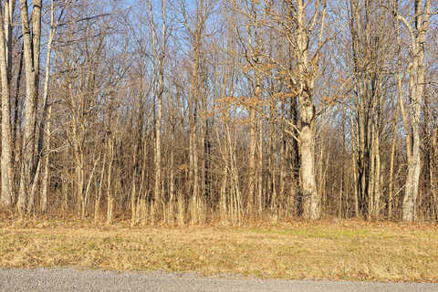 Lot 221 Tunnie Pt, Dunlap, TN 37327