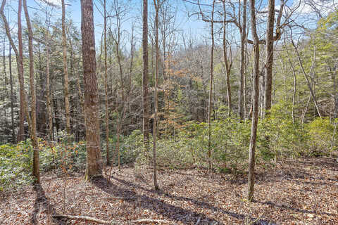 Lot 217 Hemlock Ln, Dunlap, TN 37327