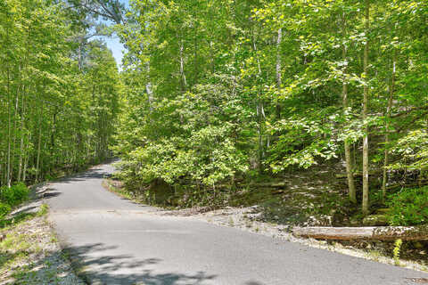 Lot 203 Deep Woods Dr, Dunlap, TN 37327