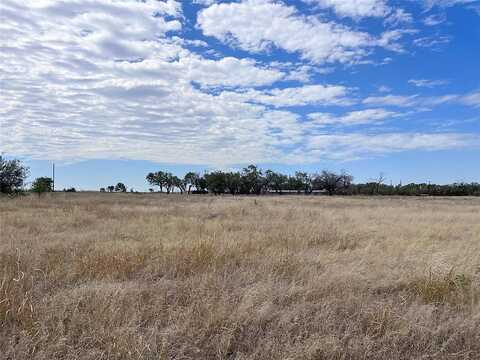 County Road 432 Tract 8, Merkel, TX 79536