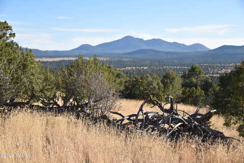 Honeysuckle Road, Williams, AZ 86046