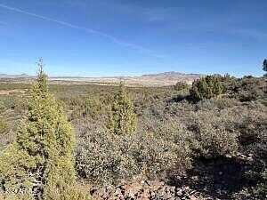 S Bogles Ranch Rd #54, Wikieup, AZ 85360