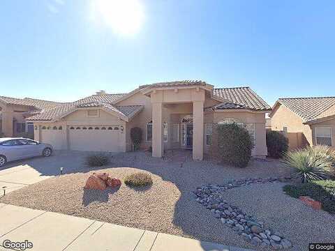 Palm Tree, SCOTTSDALE, AZ 85255