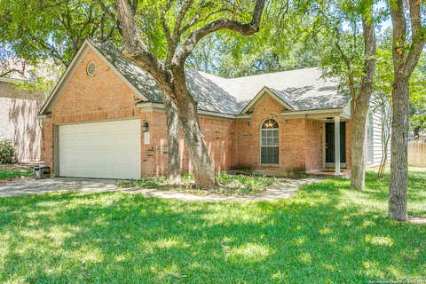 Grove, SCHERTZ, TX 78154