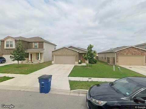 Texas Thistle, NEW BRAUNFELS, TX 78130