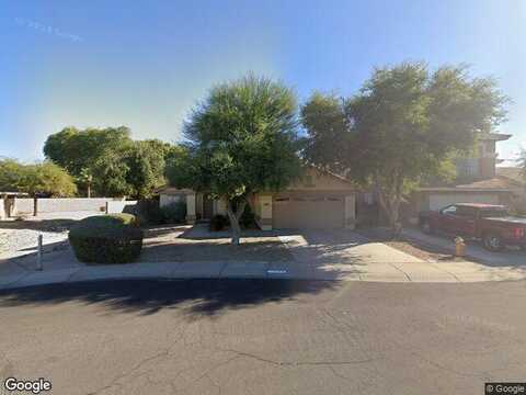 Larkspur, SURPRISE, AZ 85374