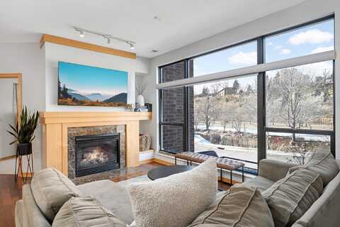 Spring, SAINT PAUL, MN 55102