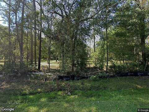County Road 315B, GREEN COVE SPRINGS, FL 32043
