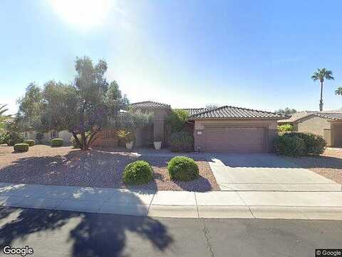 Walking Stick, SURPRISE, AZ 85374