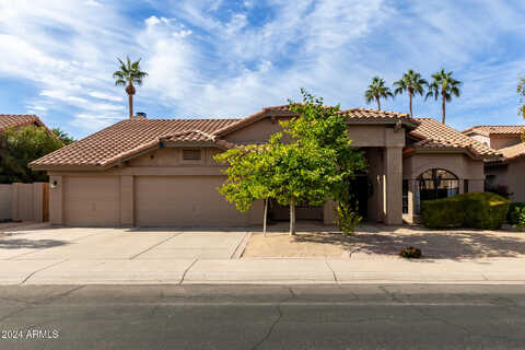 Iris, GILBERT, AZ 85233