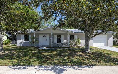 Phoenetia, SAINT AUGUSTINE, FL 32086