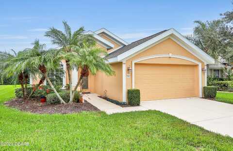 Canna, PORT ORANGE, FL 32128