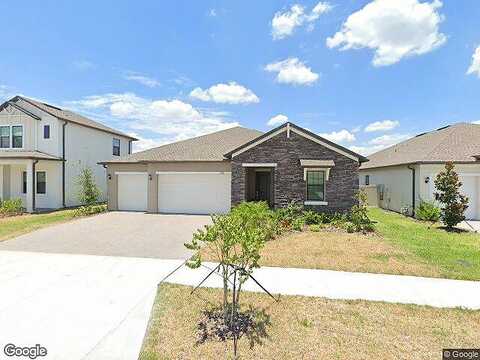 Little Bluestem, LAND O LAKES, FL 34637