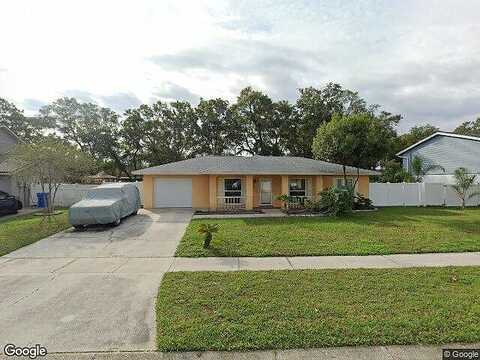 Spanish Moss, TAMPA, FL 33625