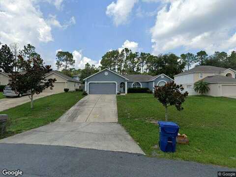 Marsh Elder, CLERMONT, FL 34711