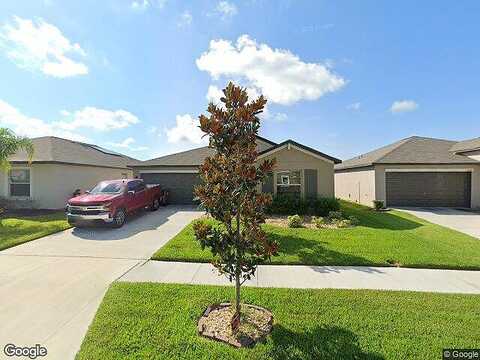 Wildflower Meadow, RIVERVIEW, FL 33579