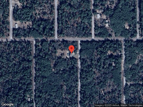 Big Tree, DUNNELLON, FL 34431