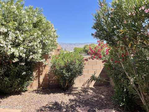 Candlestick, TUCSON, AZ 85748