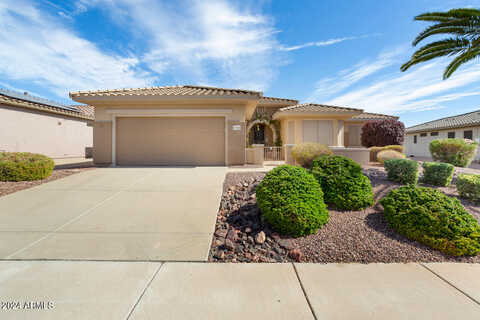Zinnia, SURPRISE, AZ 85374