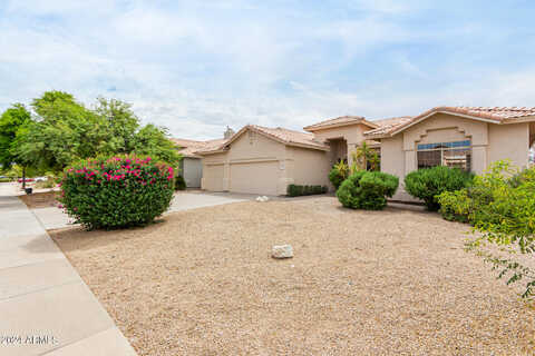 Palomino, GILBERT, AZ 85296