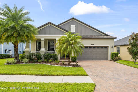 Lily Pond, BROOKSVILLE, FL 34601