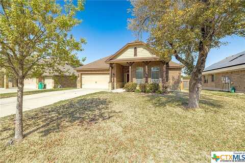 Valentino, HARKER HEIGHTS, TX 76548