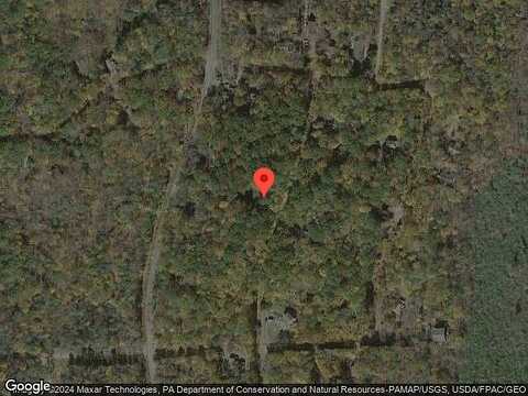 Wagner, POCONO LAKE, PA 18347