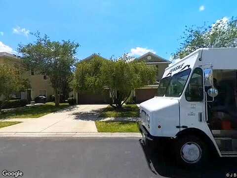 Weeping Laurel, TAMPA, FL 33647