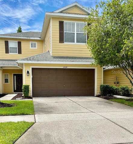 Weeping Laurel, TAMPA, FL 33647