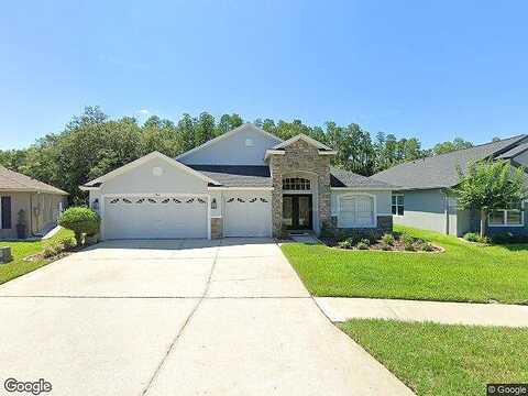 Ellendale, LAND O LAKES, FL 34638