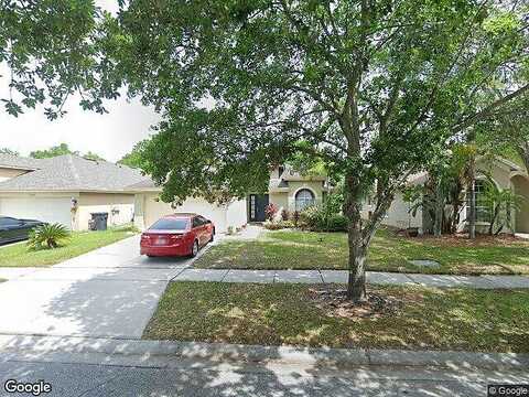 Oasis Palm, TAMPA, FL 33615