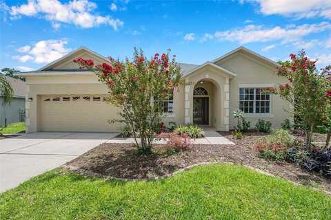 Balington, VALRICO, FL 33596