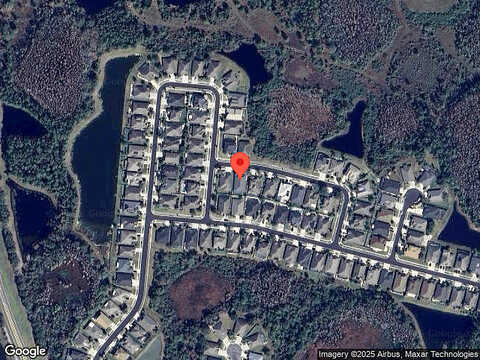 Bearded Oak, WESLEY CHAPEL, FL 33543