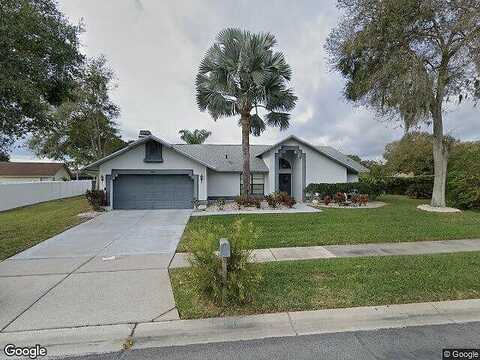 Torrey Pines, RIVERVIEW, FL 33579