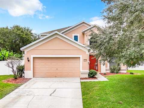 Balboa, CLERMONT, FL 34715