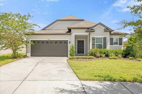 Olive Brook, WESLEY CHAPEL, FL 33545