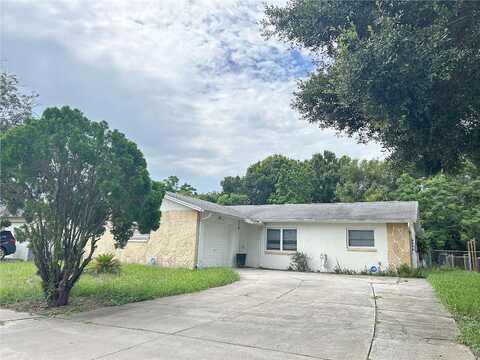 Auld, HOLIDAY, FL 34690