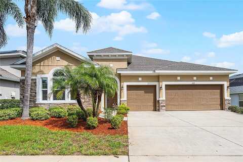 Tracey Ann, SEFFNER, FL 33584