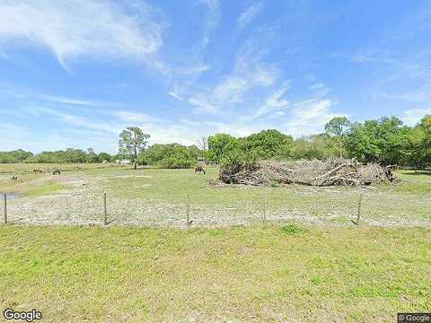 Palomino, INDIANTOWN, FL 34956