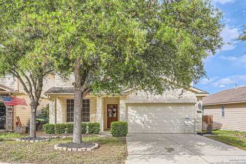 Grosbeak, SAN ANTONIO, TX 78253