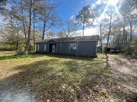 Hoot, SHEPHERD, TX 77371