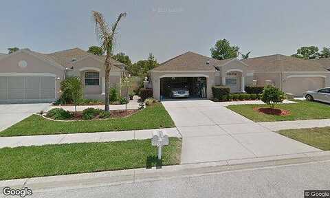 Royal Palm, SPRING HILL, FL 34608