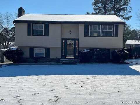 Tinstree, SOUTH CHESTERFIELD, VA 23834