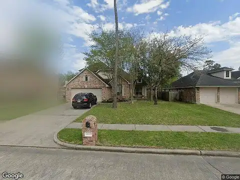 Rock Dove, HOUSTON, TX 77044