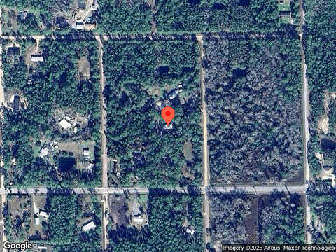 Papaya, BUNNELL, FL 32110