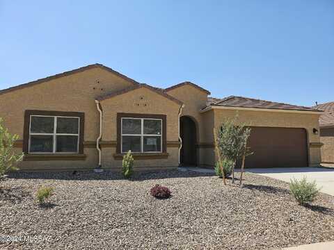 Black Dalea, MARANA, AZ 85653