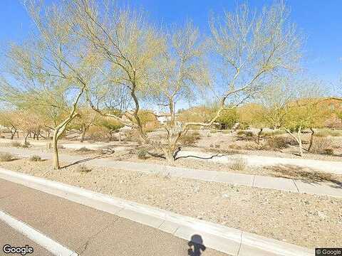 Red Fox, PHOENIX, AZ 85085